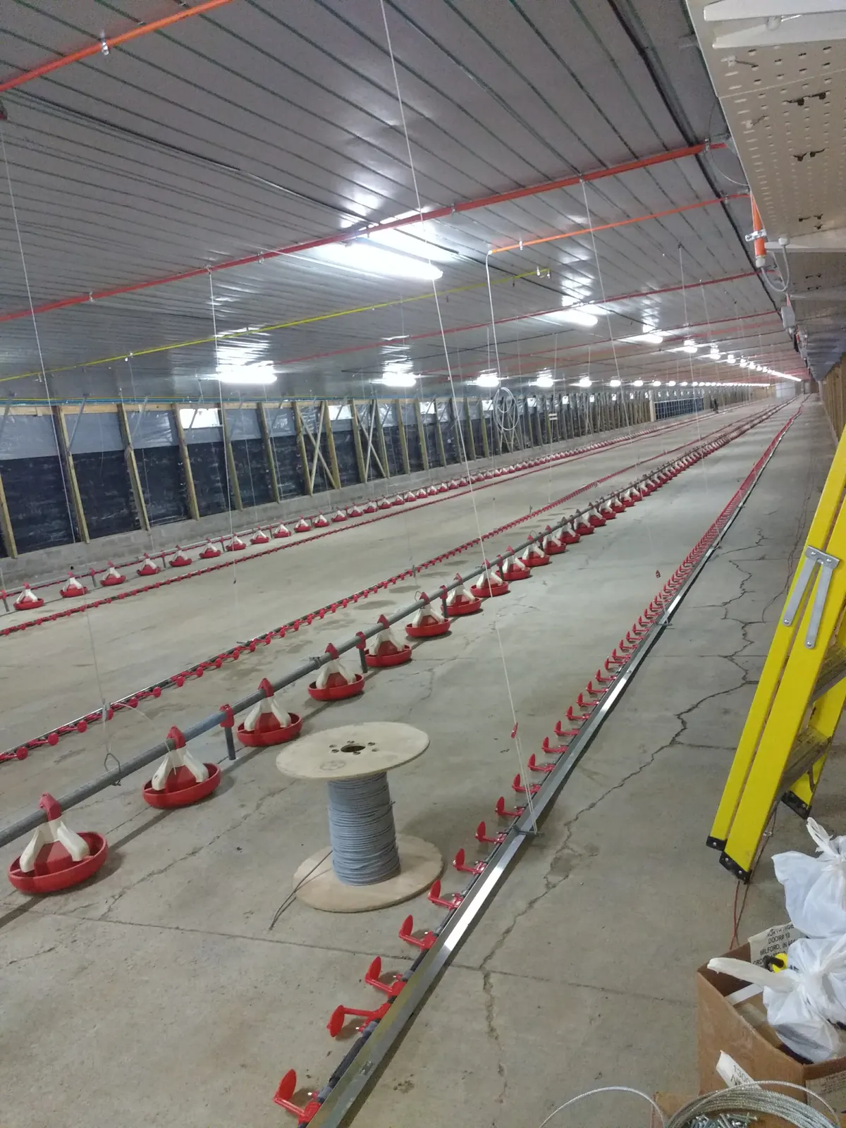 Agrosuper: pabellón de criaderos de pollos — imagen 1